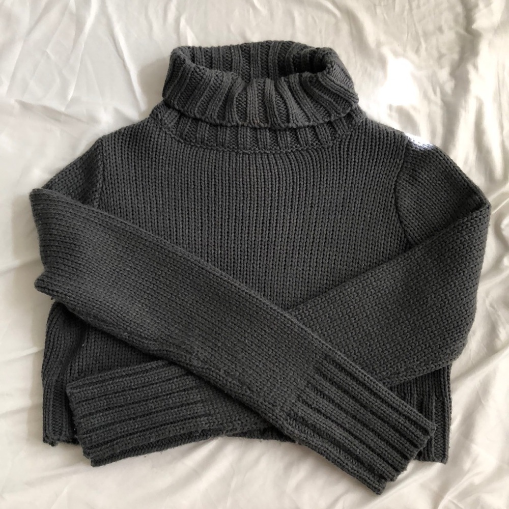 Tobi cropped turtle neck